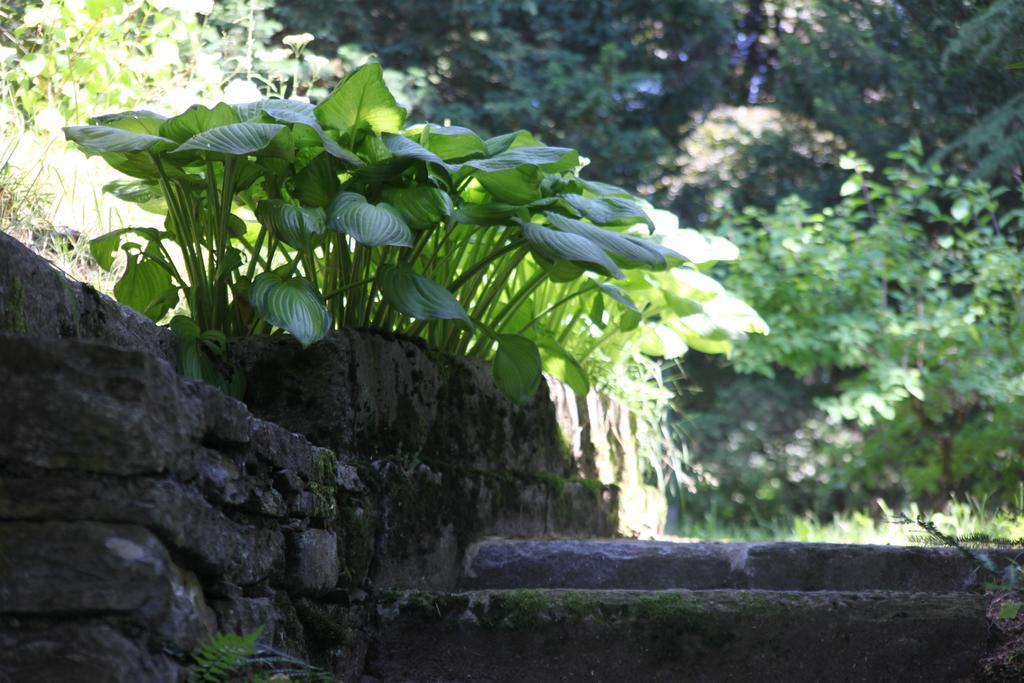 Villa Emilia Craveggia Bagian luar foto