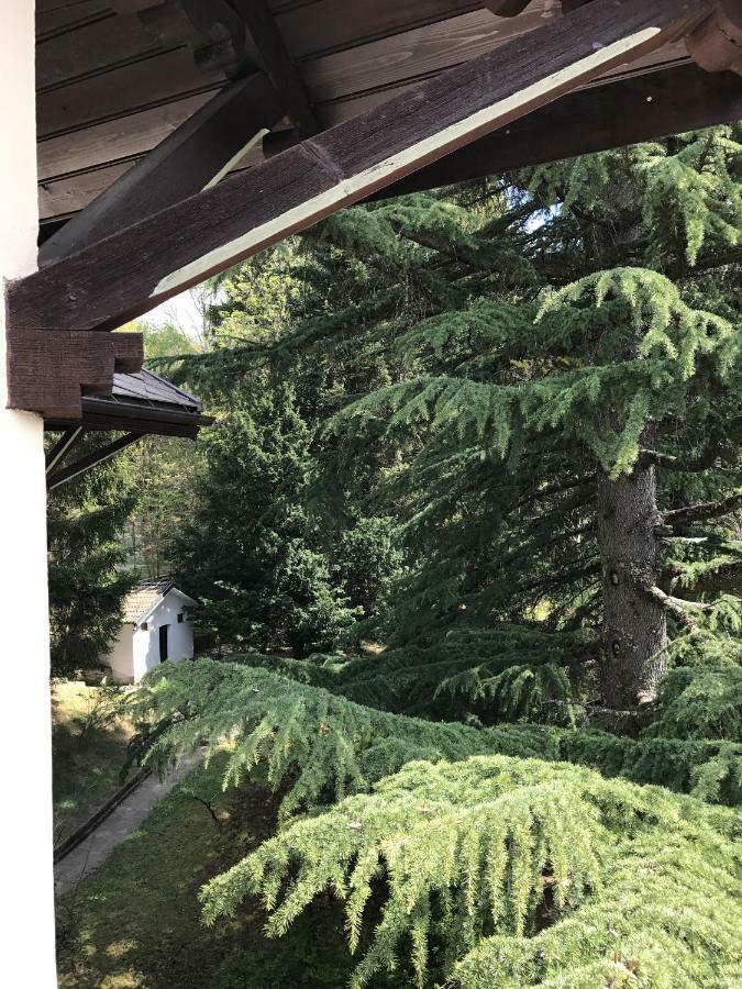Villa Emilia Craveggia Bagian luar foto